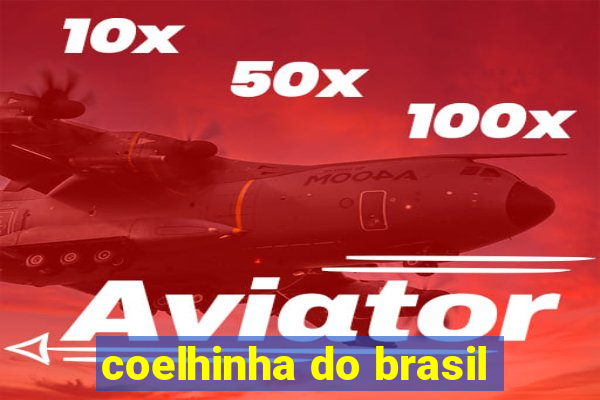 coelhinha do brasil
