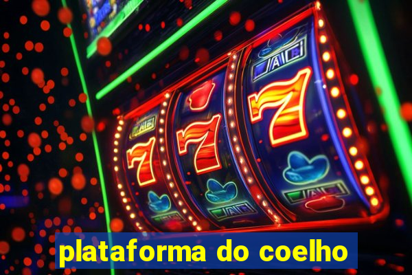 plataforma do coelho