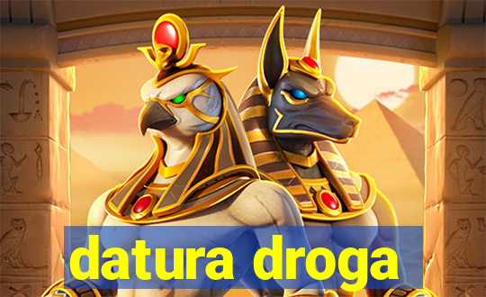datura droga
