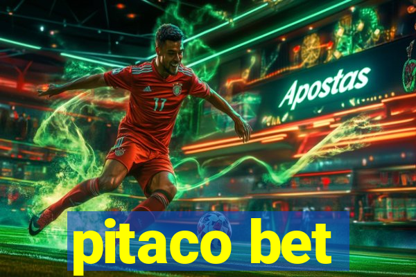 pitaco bet
