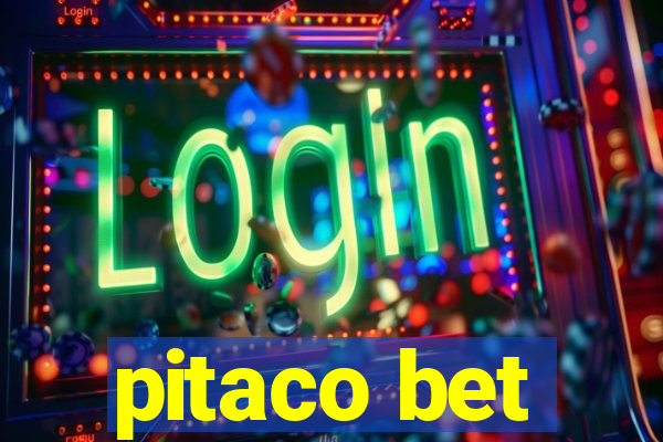 pitaco bet