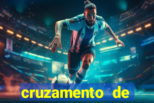 cruzamento de cavalo com mula