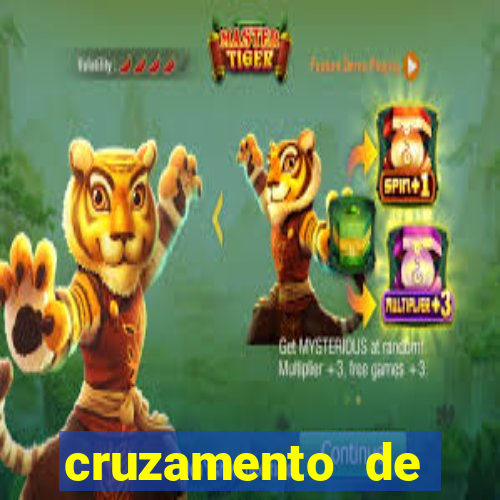 cruzamento de cavalo com mula