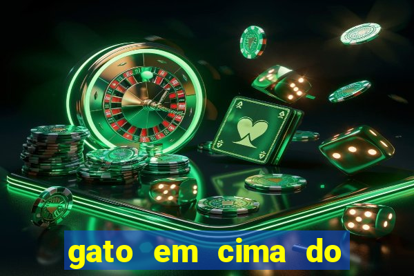 gato em cima do telhado significado espiritual