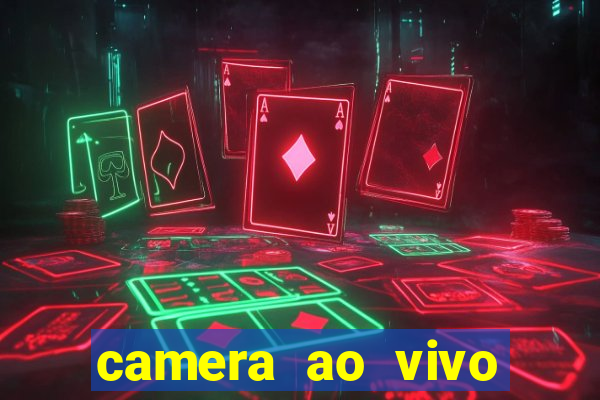 camera ao vivo beto carrero