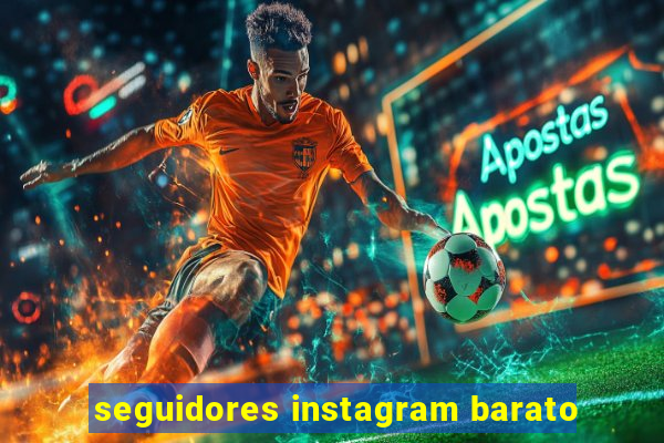 seguidores instagram barato