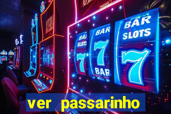 ver passarinho morto significado