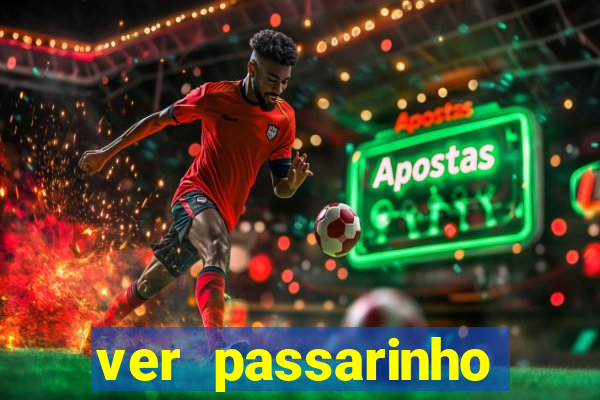 ver passarinho morto significado