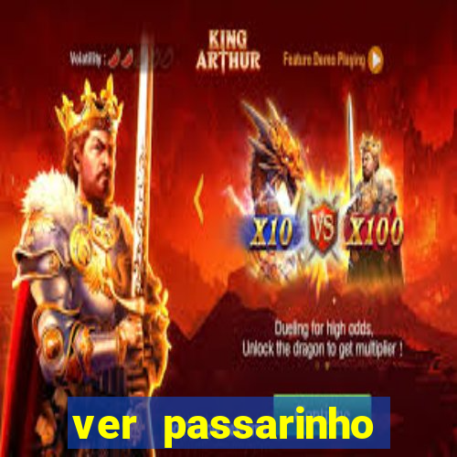 ver passarinho morto significado