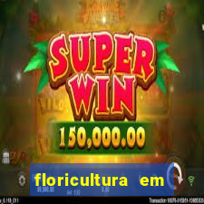 floricultura em porto alegre