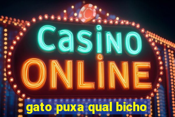 gato puxa qual bicho