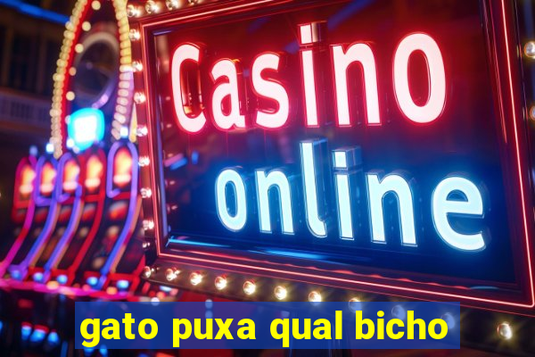 gato puxa qual bicho