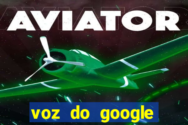 voz do google tradutor homem