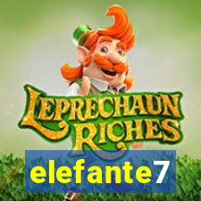 elefante7