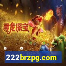 222brzpg.com