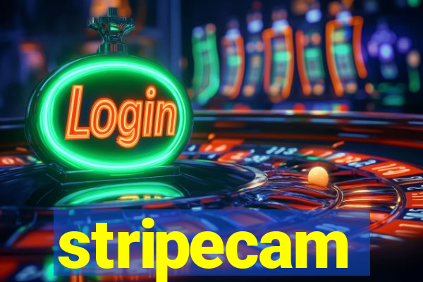 stripecam