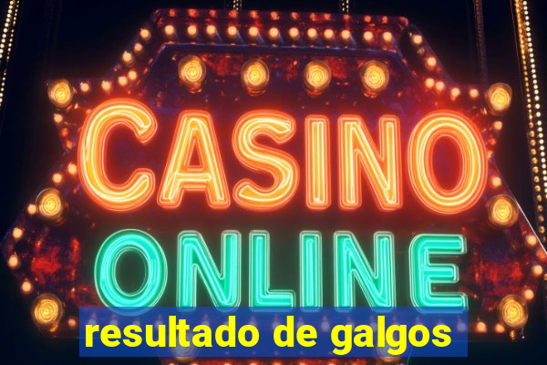 resultado de galgos