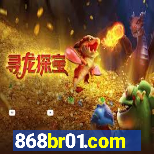 868br01.com