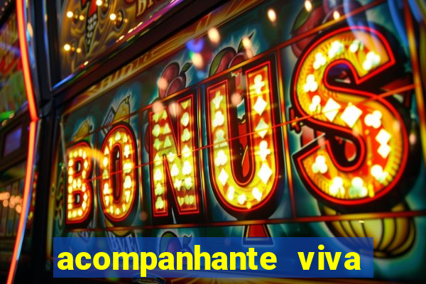 acompanhante viva local baixada fluminense