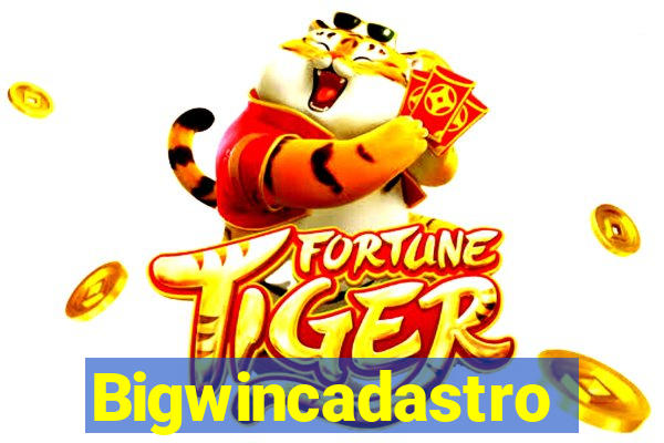 Bigwincadastro