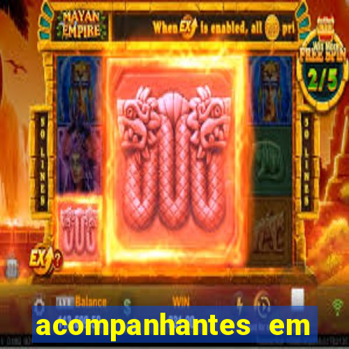 acompanhantes em feira de santana bahia