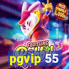 pgvip 55