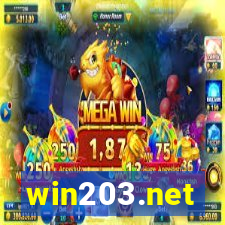win203.net