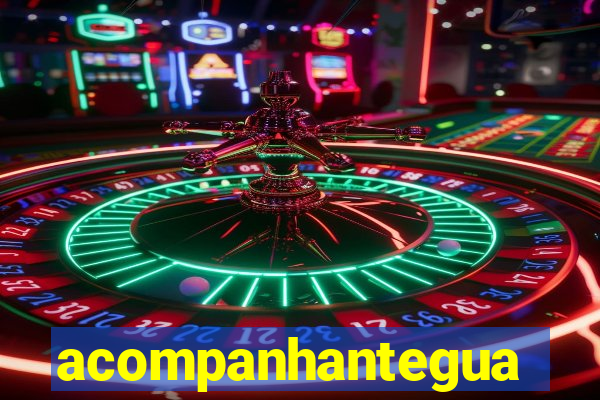 acompanhanteguanambi