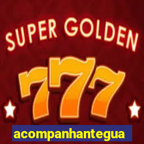 acompanhanteguanambi