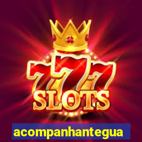 acompanhanteguanambi