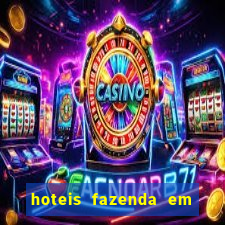 hoteis fazenda em porto velho