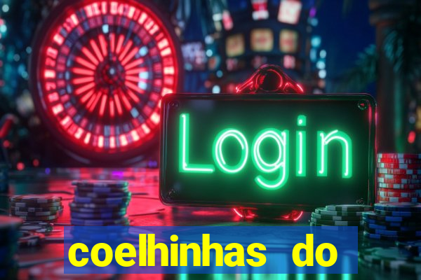 coelhinhas do brasil acompanhantes