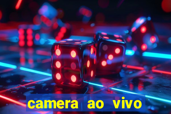 camera ao vivo terminal vila nova cachoeirinha