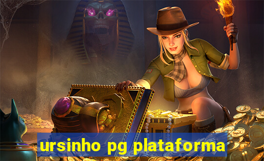 ursinho pg plataforma