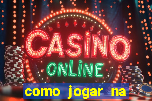 como jogar na lotinha do jogo do bicho