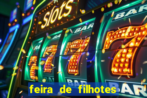 feira de filhotes porto alegre