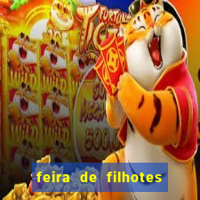feira de filhotes porto alegre