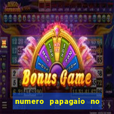 numero papagaio no jogo do bicho