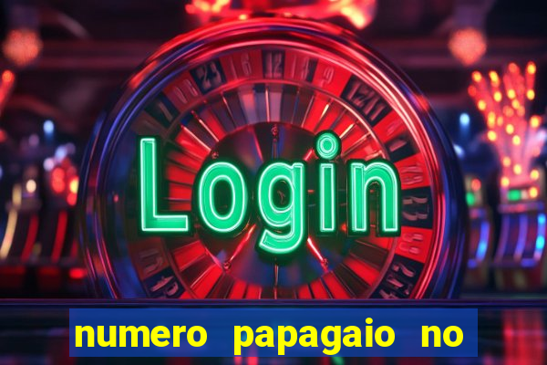 numero papagaio no jogo do bicho