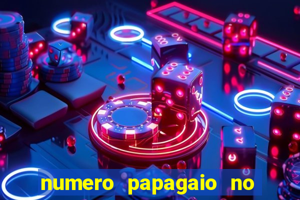 numero papagaio no jogo do bicho