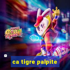 ca tigre palpite
