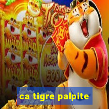 ca tigre palpite