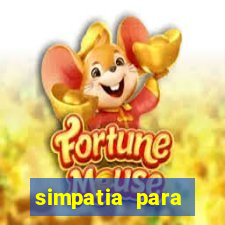 simpatia para ganhar na loteria com folha de louro