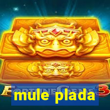 mule plada