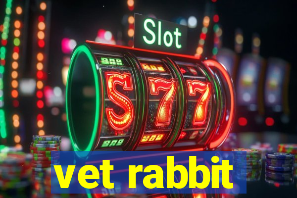 vet rabbit