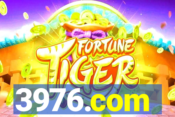 3976.com