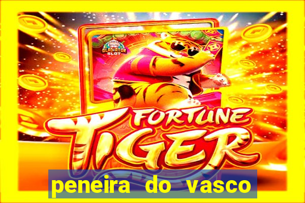 peneira do vasco da gama