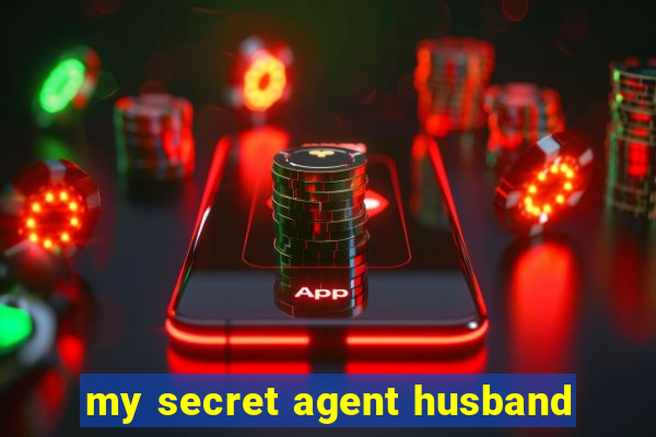 my secret agent husband