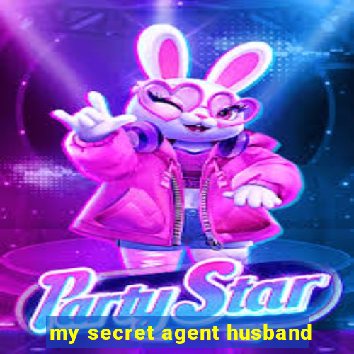 my secret agent husband