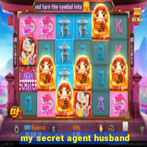 my secret agent husband